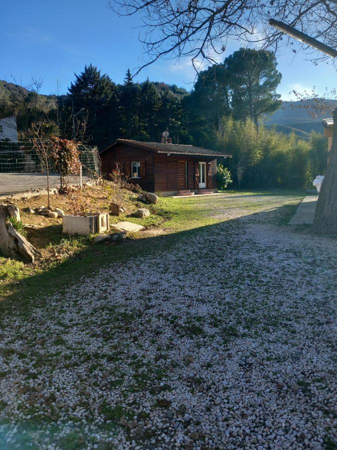 Petit Chalet En Bois Reynes Екстер'єр фото